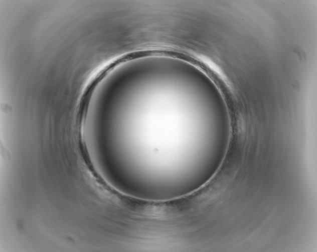 X0000091231364200708091410
