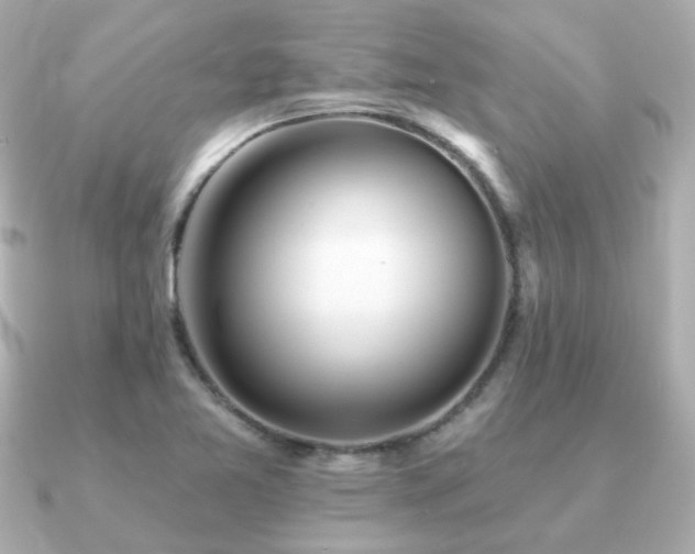 X0000091231365200708091410