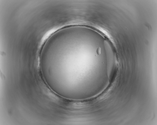 X0000091231366200708091410
