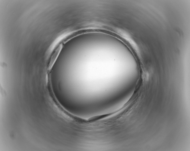 X0000091231368200708091410