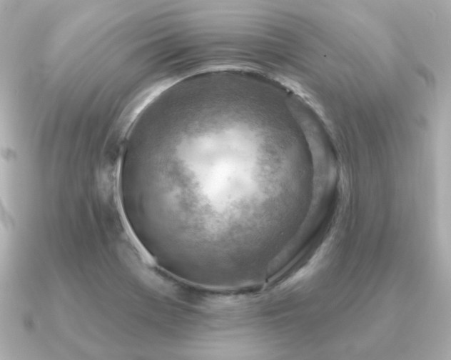 X0000091231369200708091410