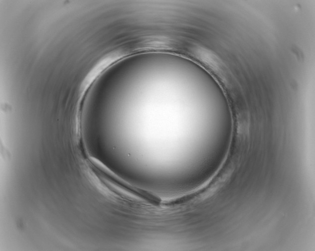 X0000091231370200708091410