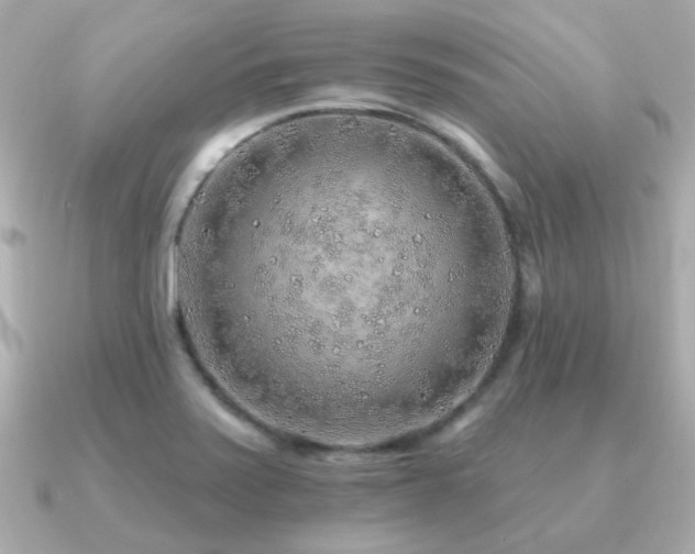 X0000091231371200708091410