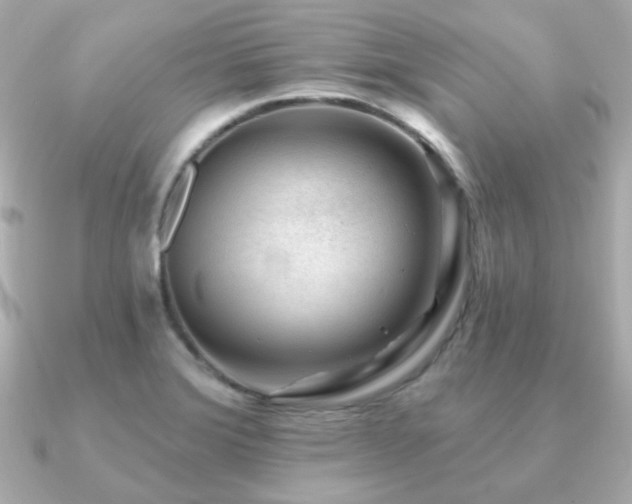 X0000091231372200708091410
