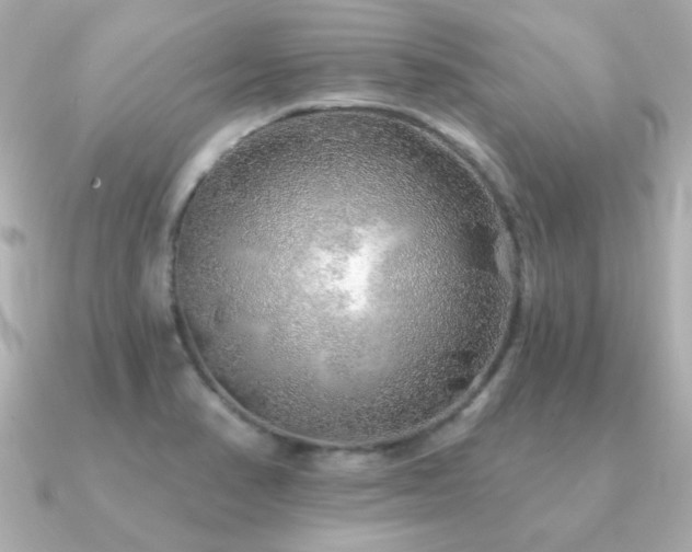 X0000091231374200708091410