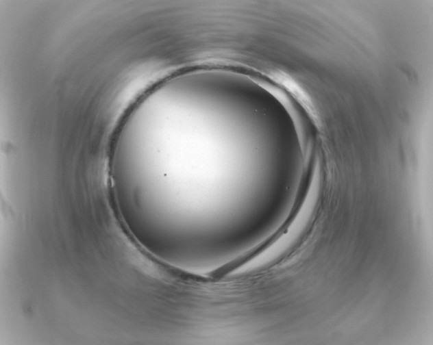 X0000091231376200708091410