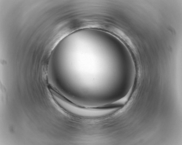 X0000091231377200708091410