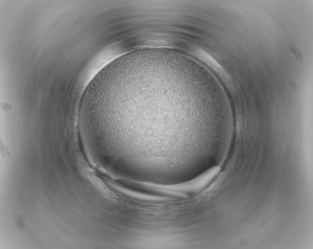 X0000091231378200708091410