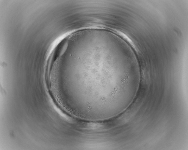 X0000091231379200708091410