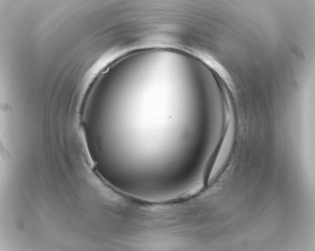 X0000091231380200708091410
