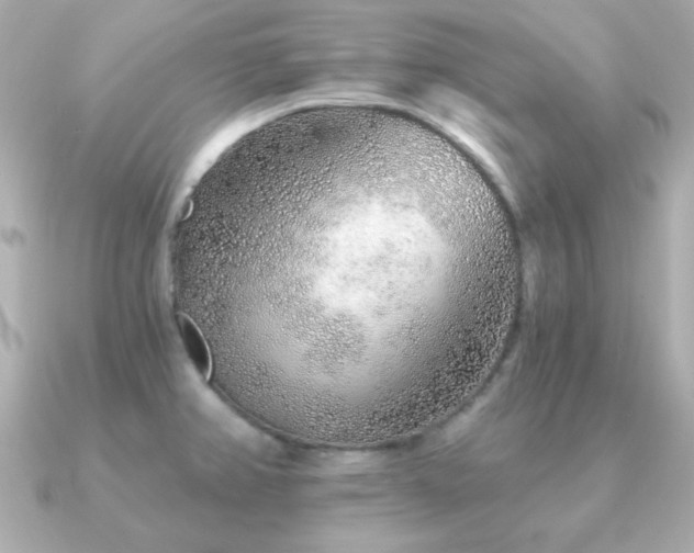 X0000091231382200708091410