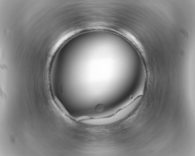 X0000091231384200708091410