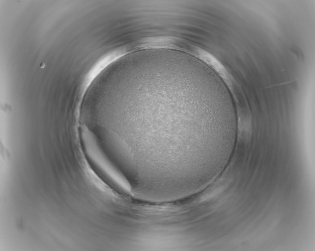 X0000091231386200708091410