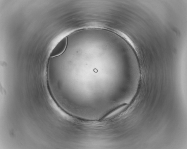 X0000091231387200708091410