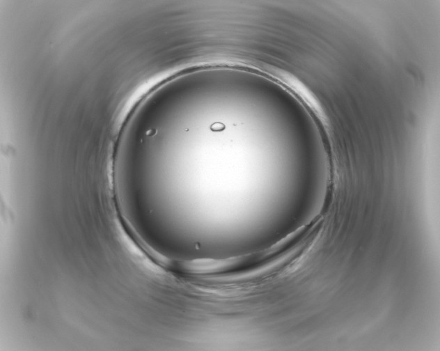 X0000091231388200708091410