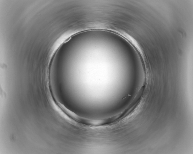 X0000091231389200708091410
