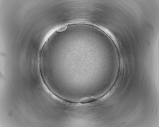X0000091231390200708091410