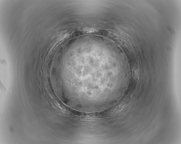 X0000091231393200708091409