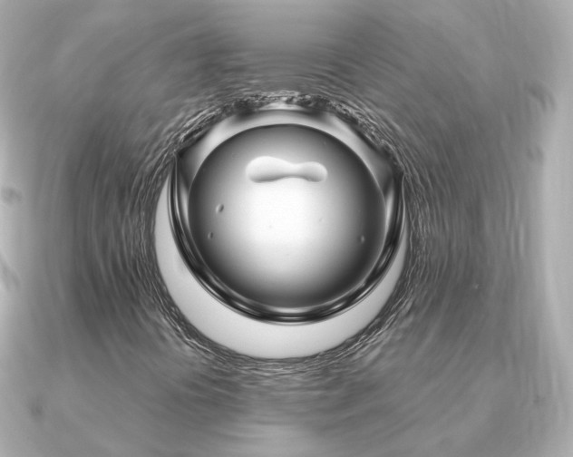X0000091231394200708091409
