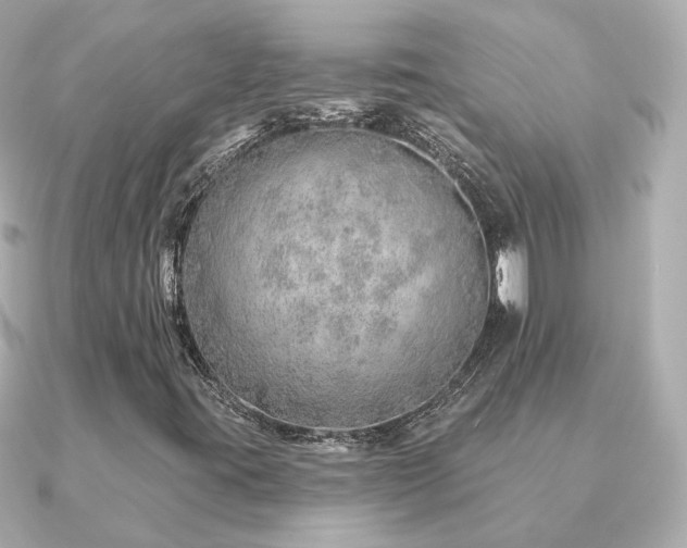X0000091231395200708091409