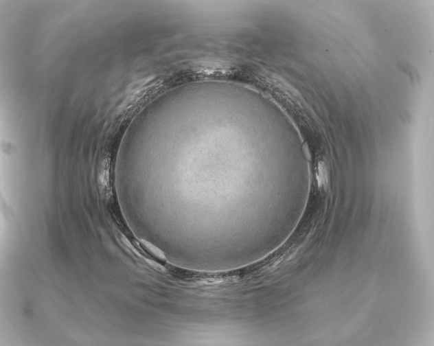 X0000091231396200708091409