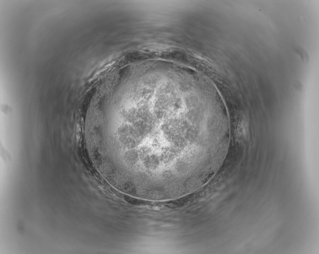 X0000091231397200708091409