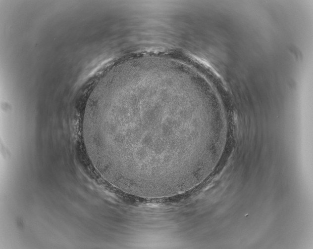 X0000091231399200708091409