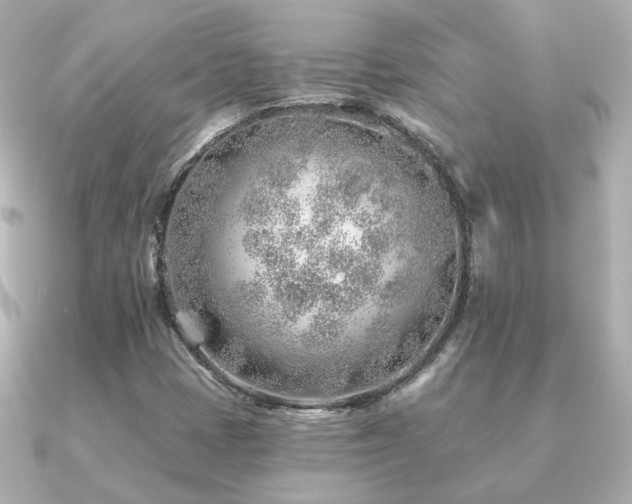 X0000091231401200708091409