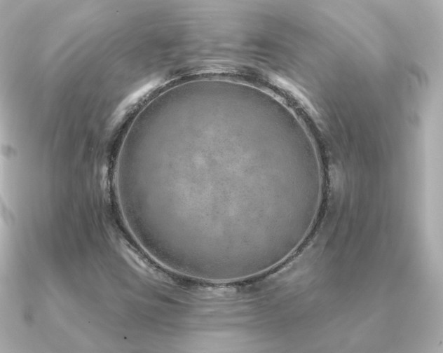 X0000091231403200708091409