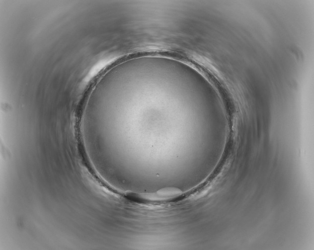 X0000091231404200708091409