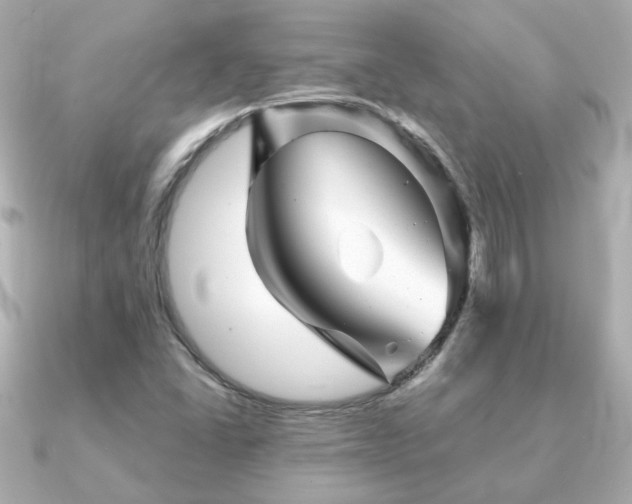 X0000091231406200708091409