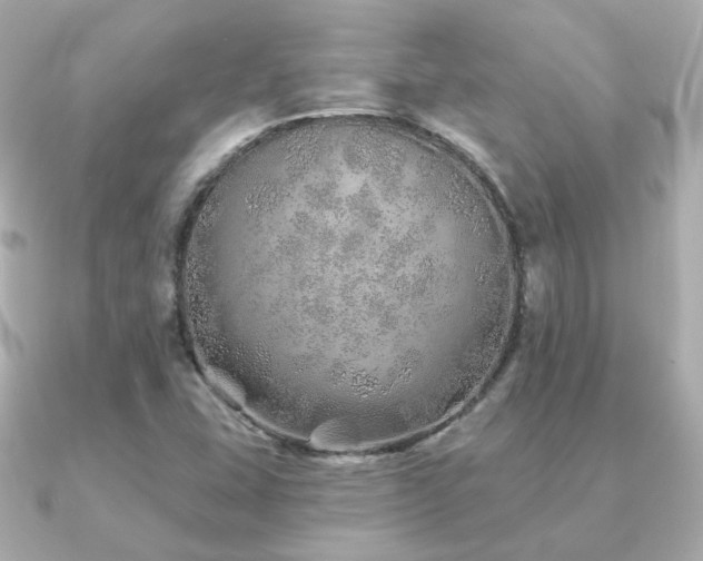 X0000091231407200708091409