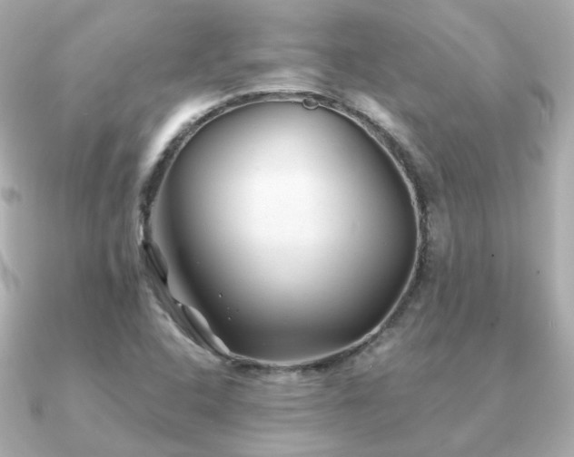 X0000091231408200708091409