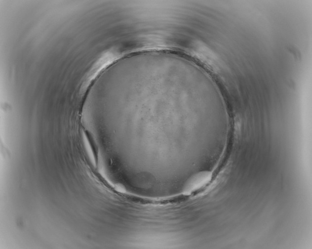 X0000091231409200708091409