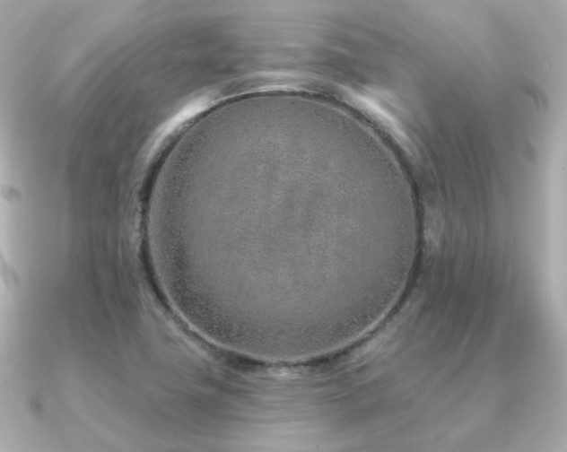 X0000091231411200708091409