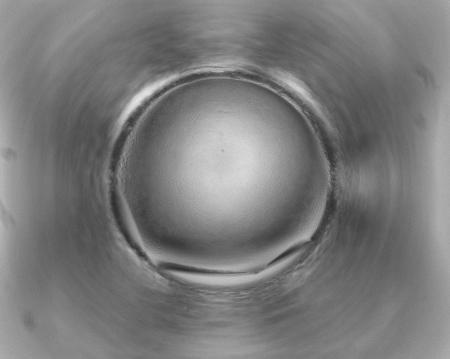 X0000091231412200708091409
