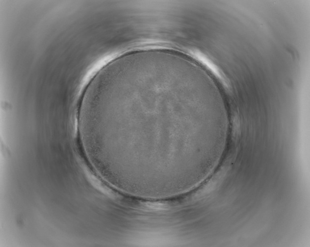 X0000091231413200708091409