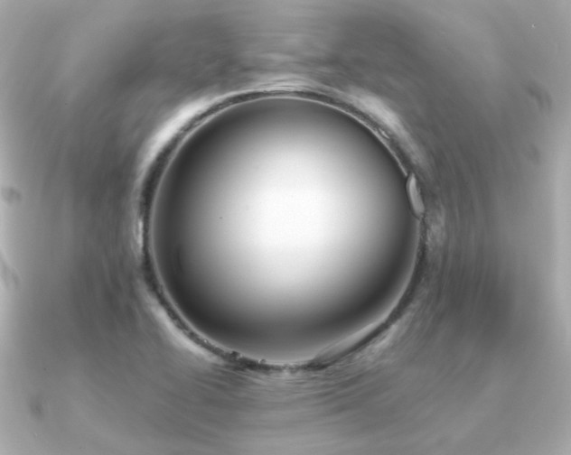 X0000091231414200708091409