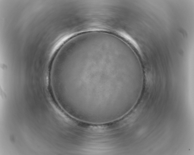X0000091231415200708091409