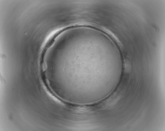 X0000091231416200708091409