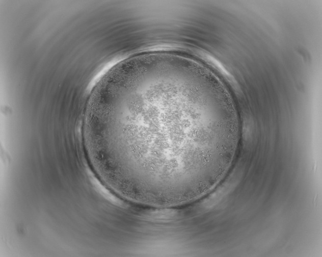 X0000091231417200708091409
