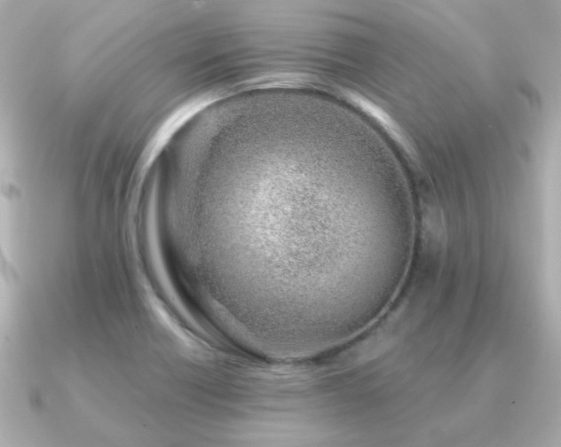 X0000091231418200708091409