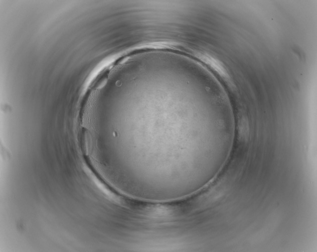X0000091231420200708091409