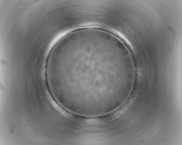 X0000091231421200708091410
