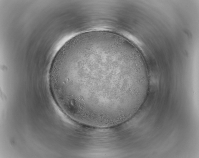 X0000091231423200708091410