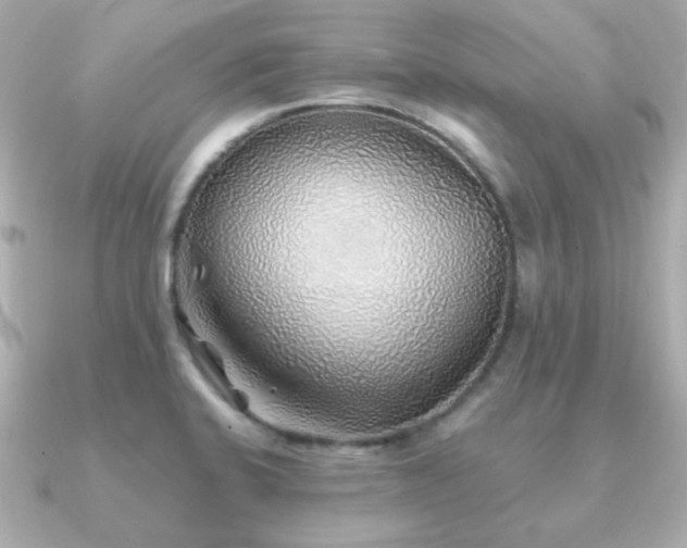 X0000091231424200708091410
