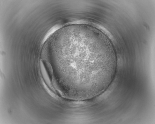 X0000091231425200708091410