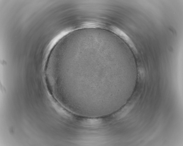 X0000091231427200708091410