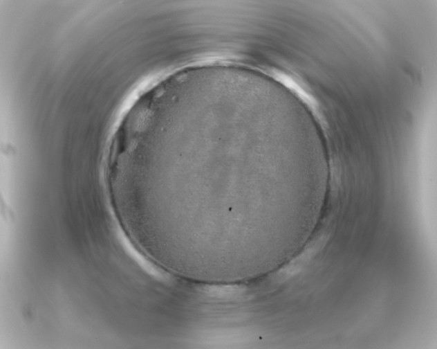 X0000091231429200708091410