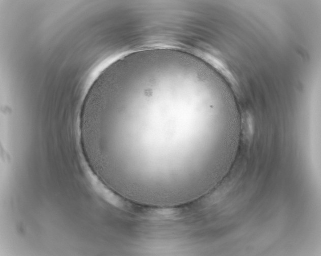 X0000091231431200708091410